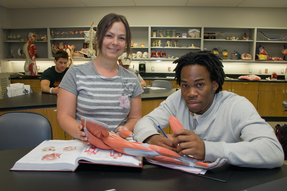 Students studying anatomy Students studying anatomy