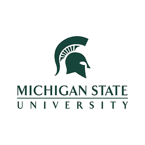 michigan state university