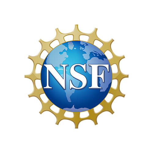 nsf logo