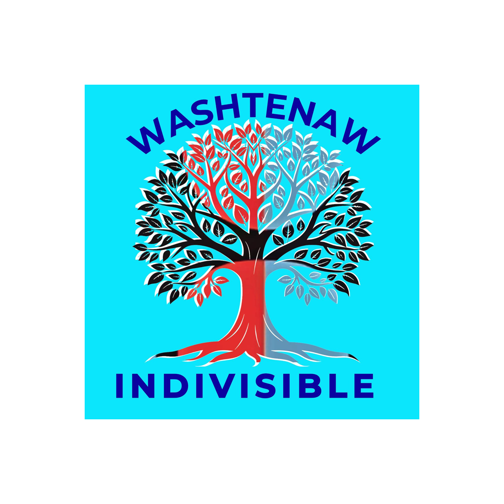 washtenaw indivisible
