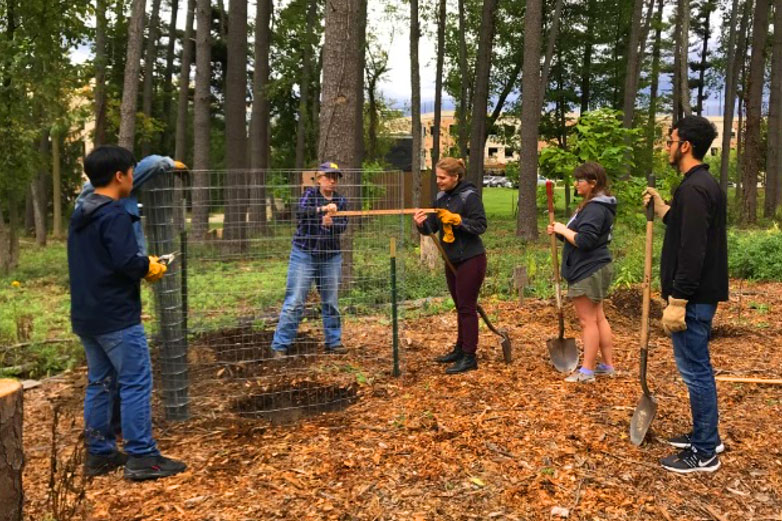 Working in the WCC Student Food Forest