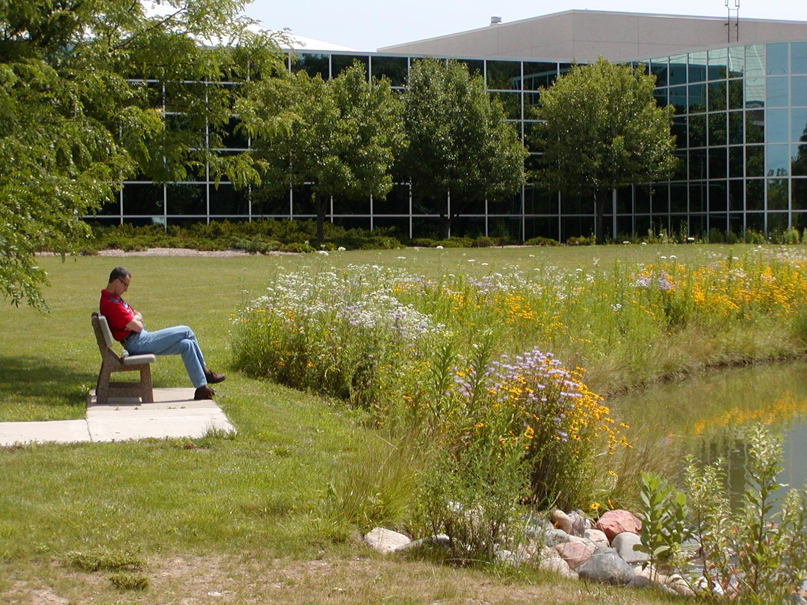 Relaxing by native plants and pond