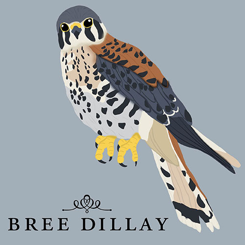 Bree Dillay