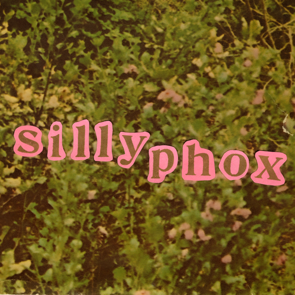 silly phox