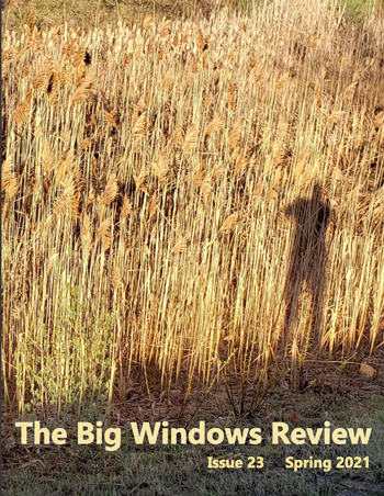 Big Windows Review Publication Cover