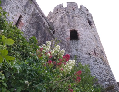 June 9: Conwy Castle by Julia
