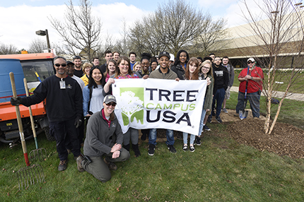 Tree Campus USA