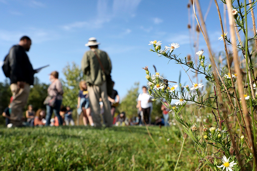 Greg Vaclavek, owner of Ann Arbor’s Native Plant Nursery, led students, faculty and staff on a “Native Pollinators and Their Ecosystems” nature walk around the WCC campus in September 2019.