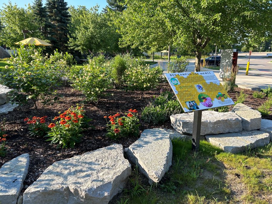 Photo of garden with bee campus plaque.