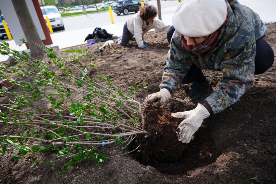 WCC launches Center for Sustainability and Resilience