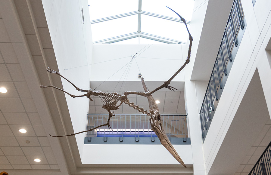 Prehistoric visitor takes flight at WCC