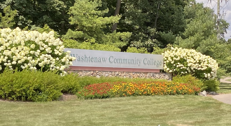 WCC sign with hydrangeas in bloom
