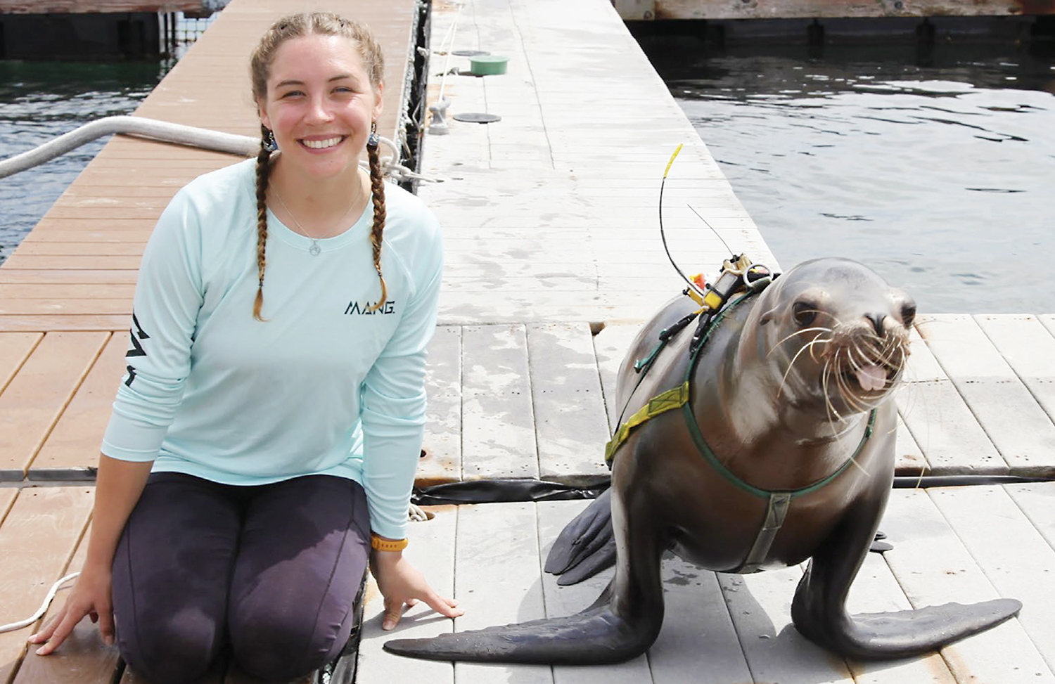 Marina Wennstrom sits on a dock alongside a sea lion
