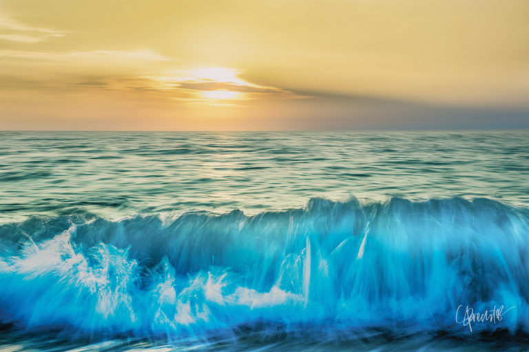 Prechter’s postcard image of a Florida beach reminded a Vietnam veteran of surfing in the Pacific Ocean off the shores of Okinawa. Prechter’s postcard image of a Florida beach reminded a Vietnam veteran of surfing in the Pacific Ocean off the shores of Okinawa.