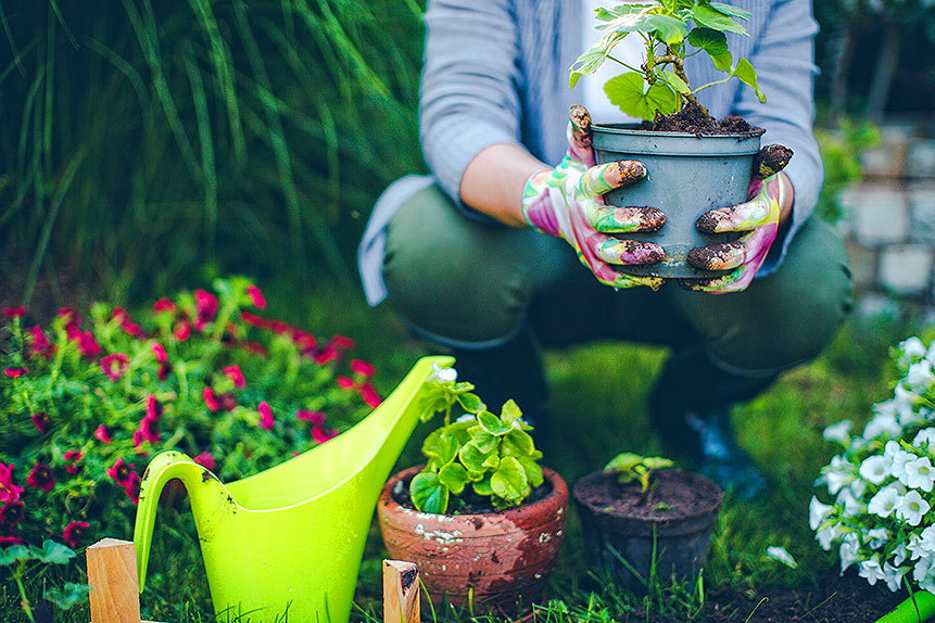 gardener gardener